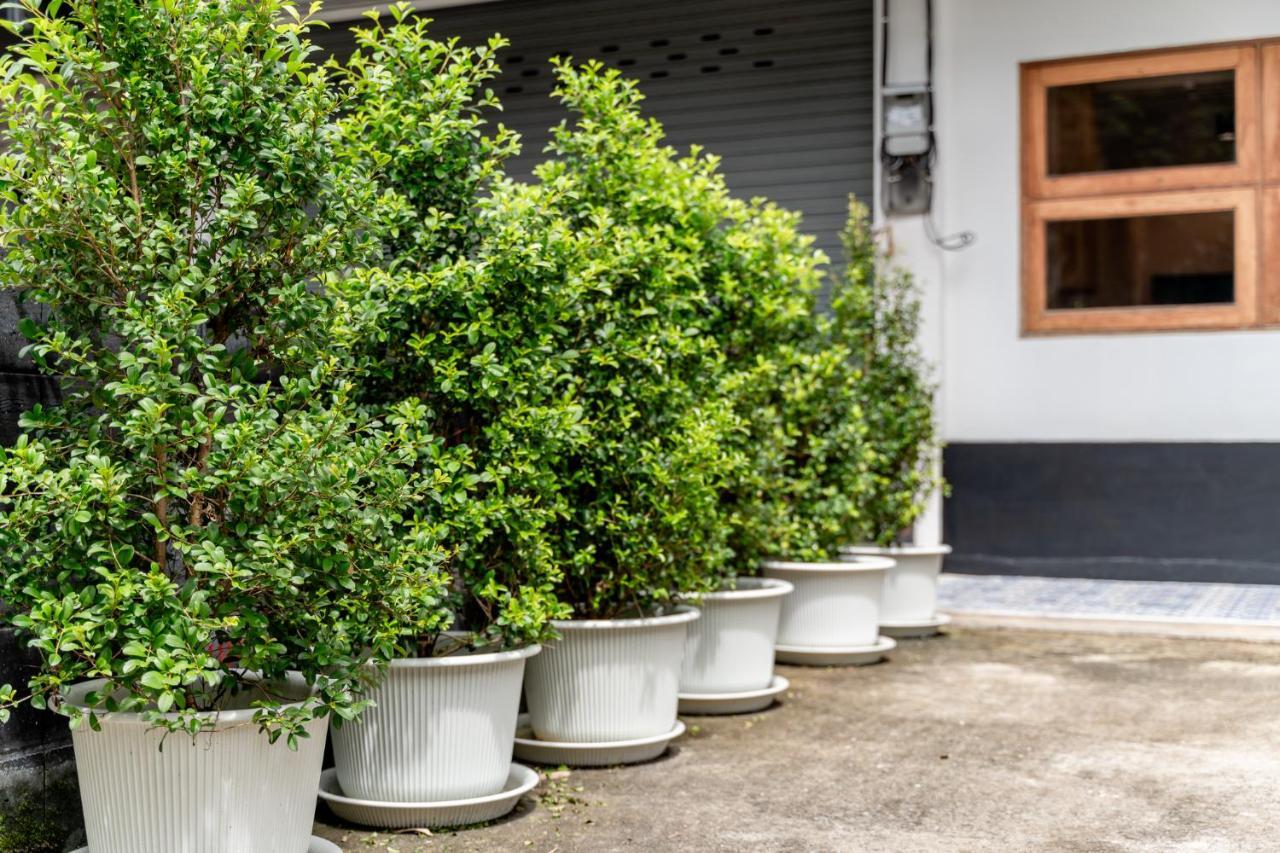 Socialer Coliving & Coworking Space Chiang Mai Exterior photo